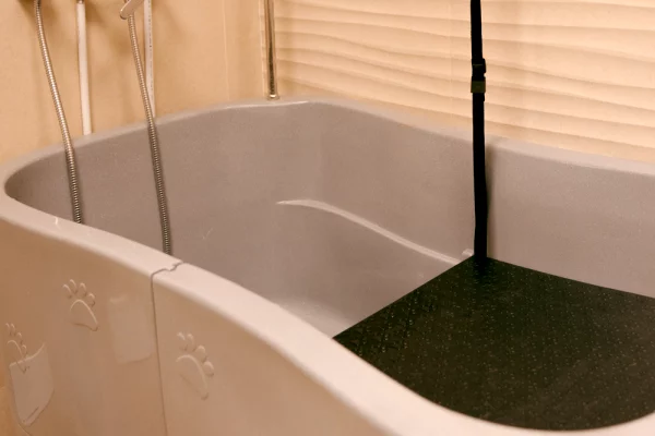 serv_peluqueria_04 Servicios de Clínica Veterinaria Alborada