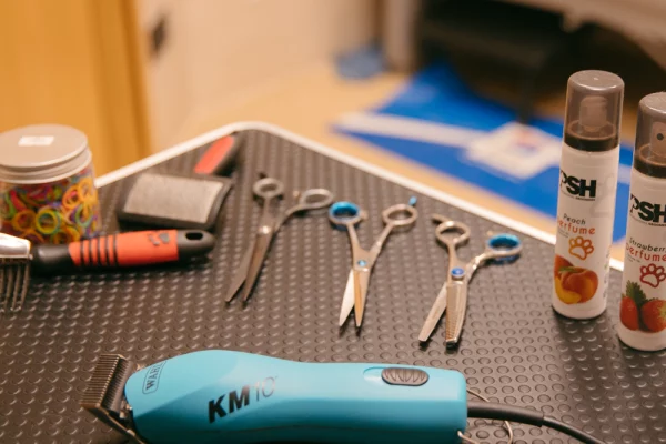 serv_peluqueria_05 Servicios de Clínica Veterinaria Alborada