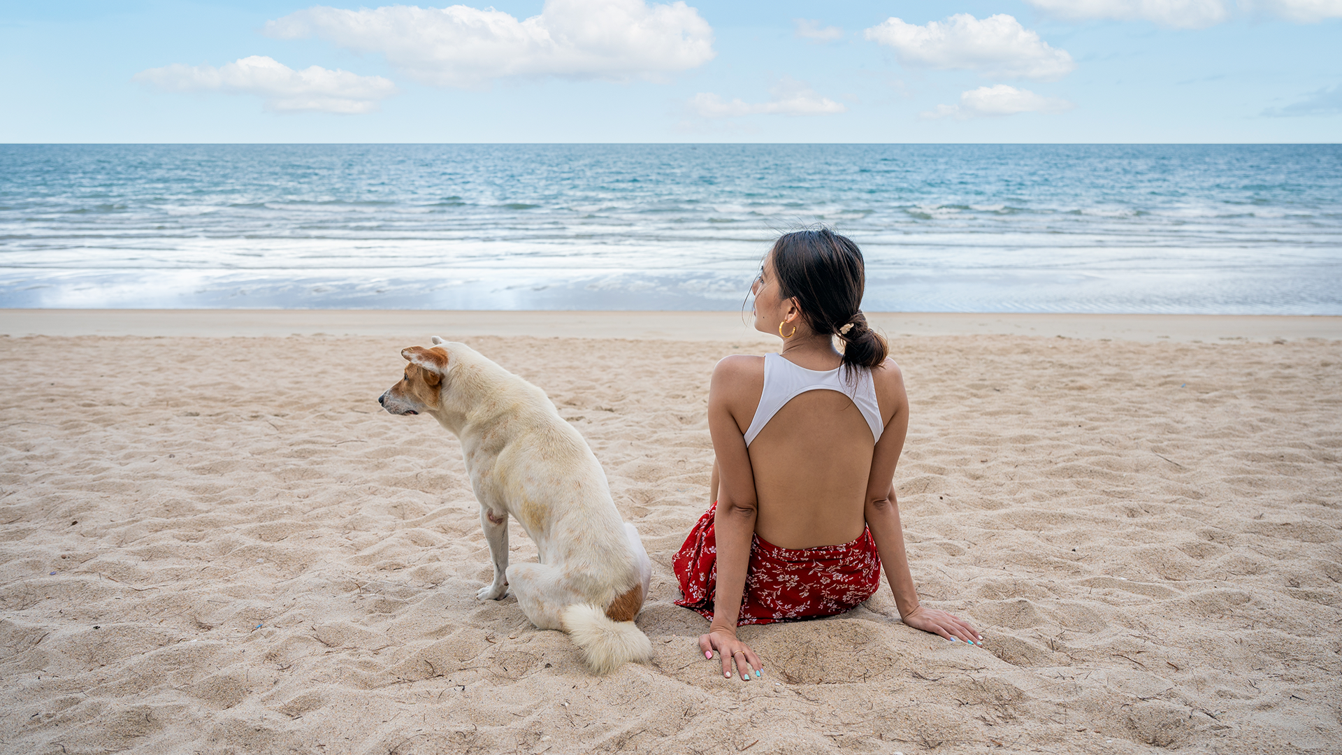 Viaja con tu mascota: prepara su kit pet-friendly