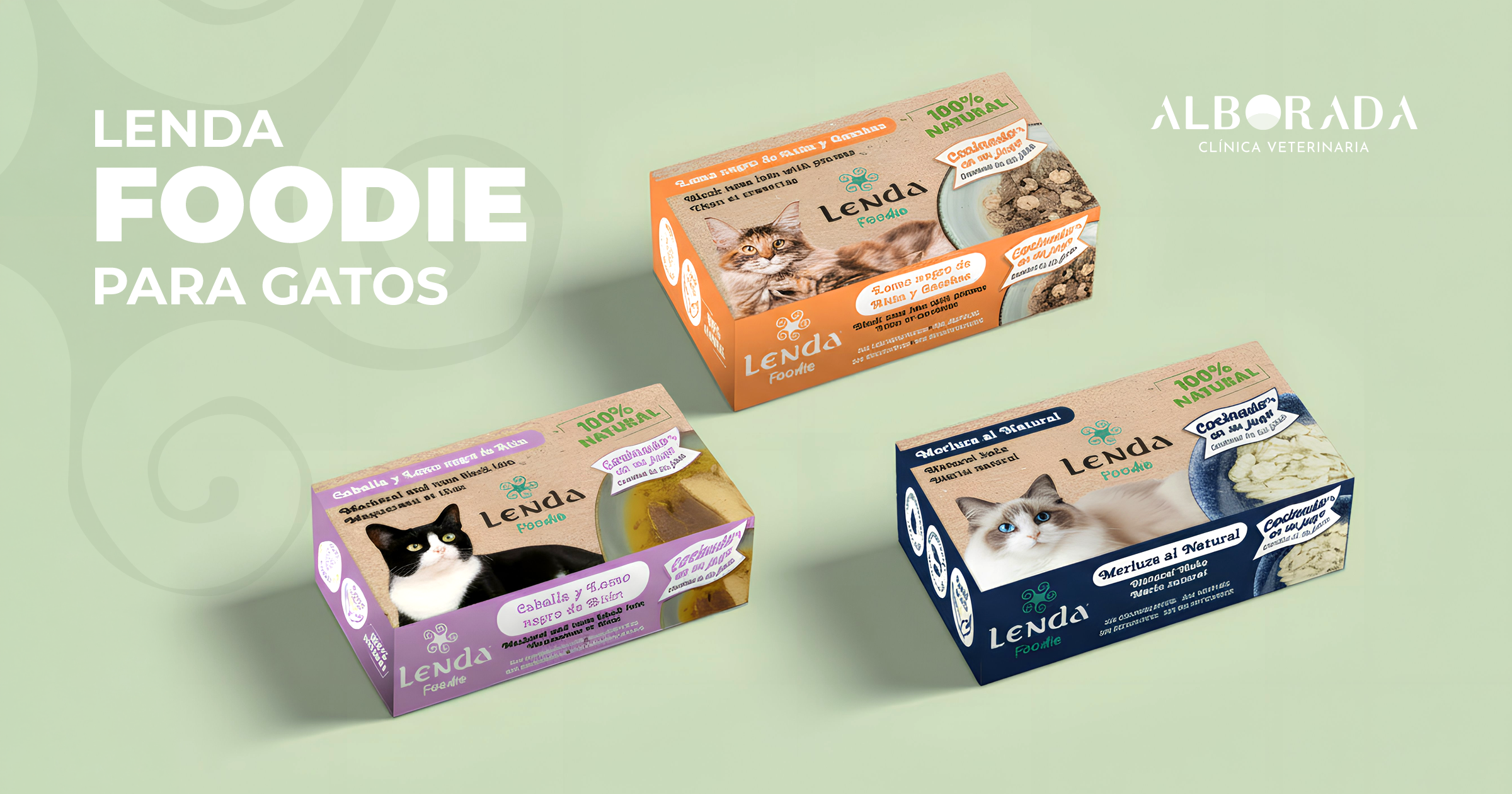 Comida_lenda_gatos_FB_Alborada_1